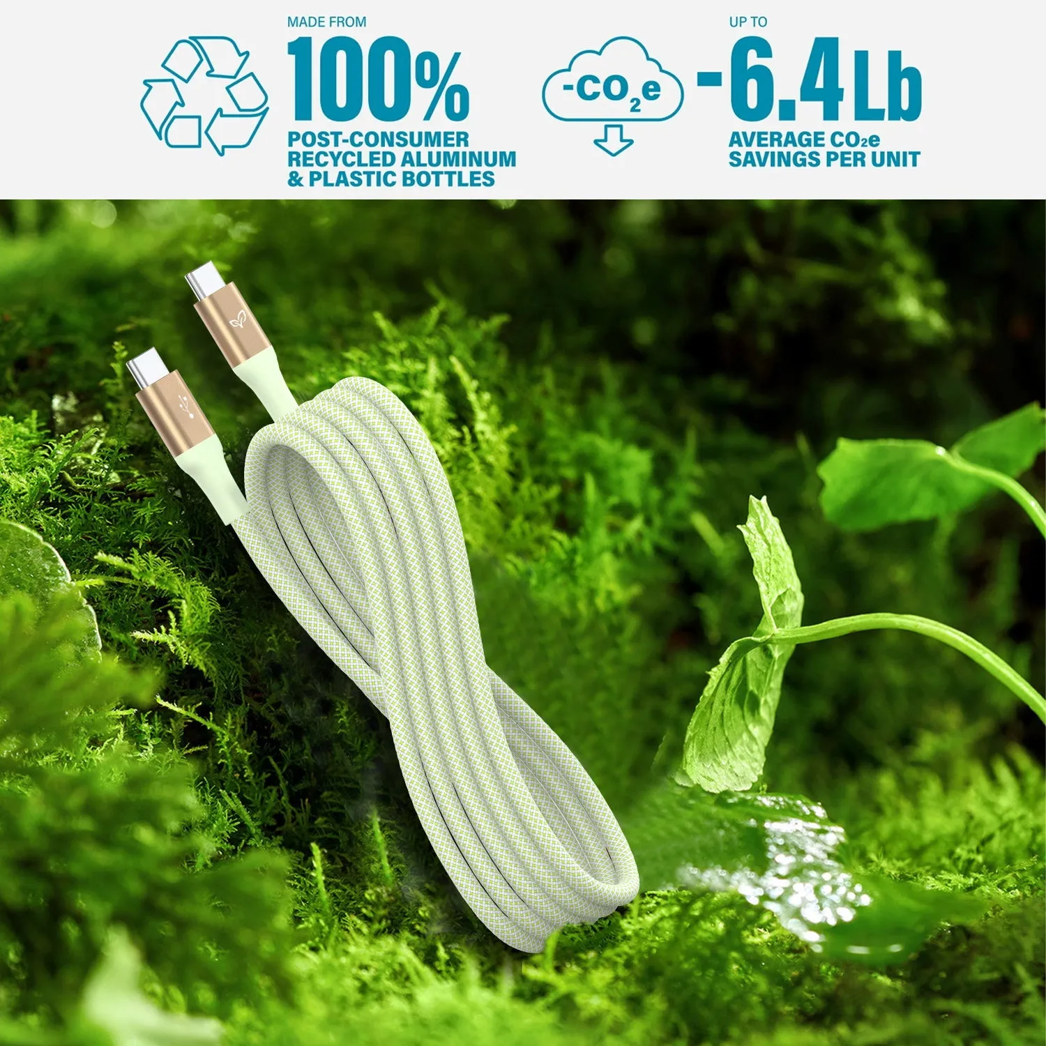 LifeVine USB-C to USB-C Charging Cable